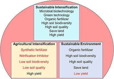 Sustainable Intensification of Maize in the Industrial Revolution: Potential of Nitrifying Bacteria and Archaea